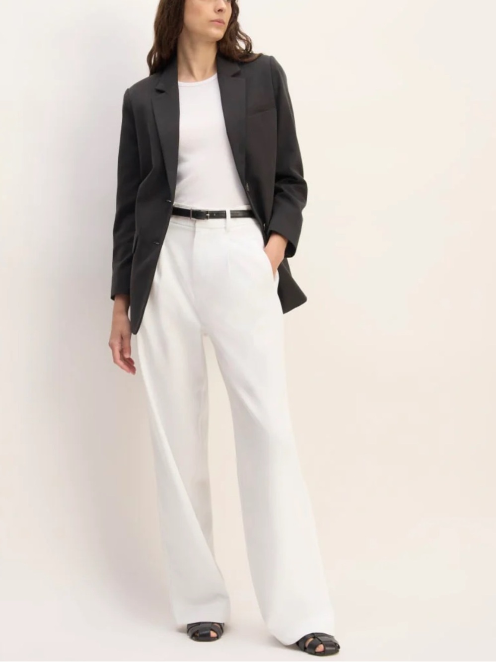 Everlane The Draper Pleated Pants in Buttersmooth High Rise Wide Leg Trousers